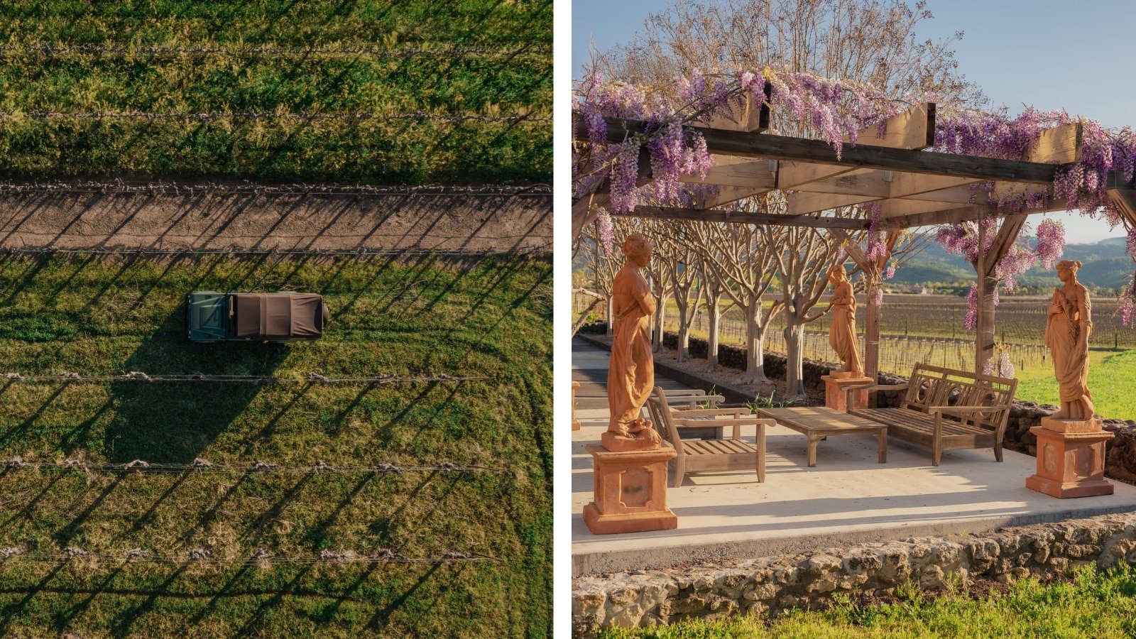 Vineyard truck and garden pergola with statues