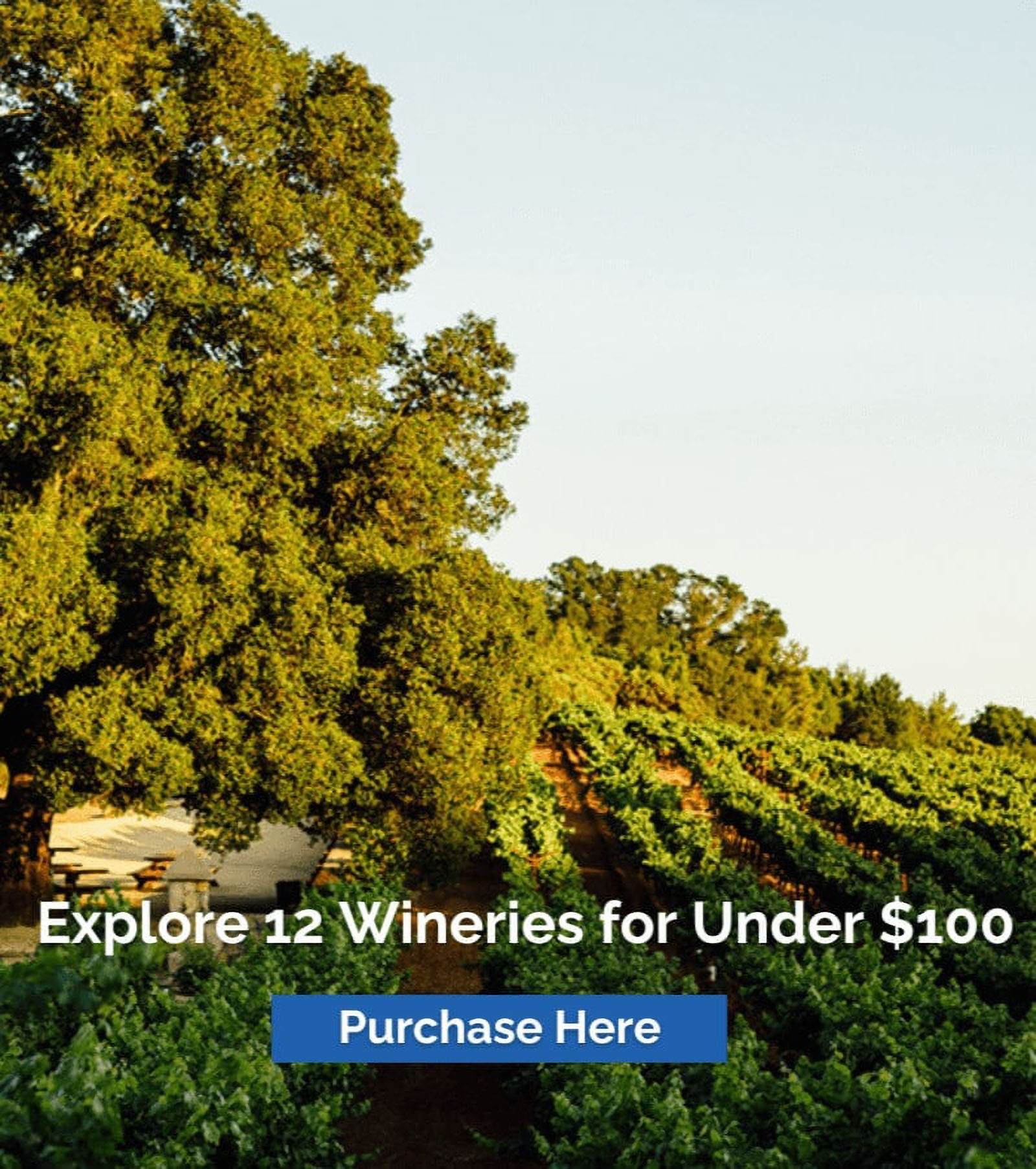 Vineyard offer: Explore wineries under $100.