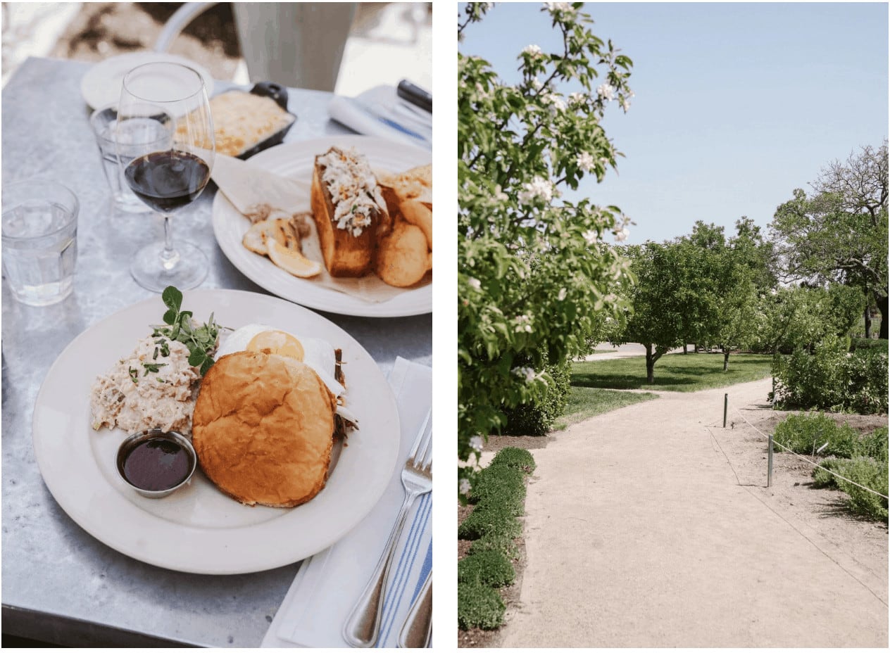 Outdoor meal and park path with trees