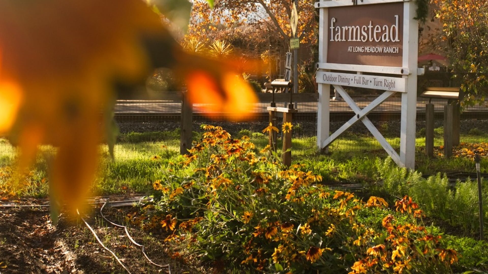 Farmstead sign with garden flowers in foreground.