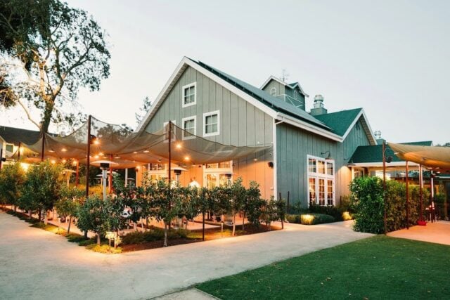 Outdoor dining area with lights and trees.