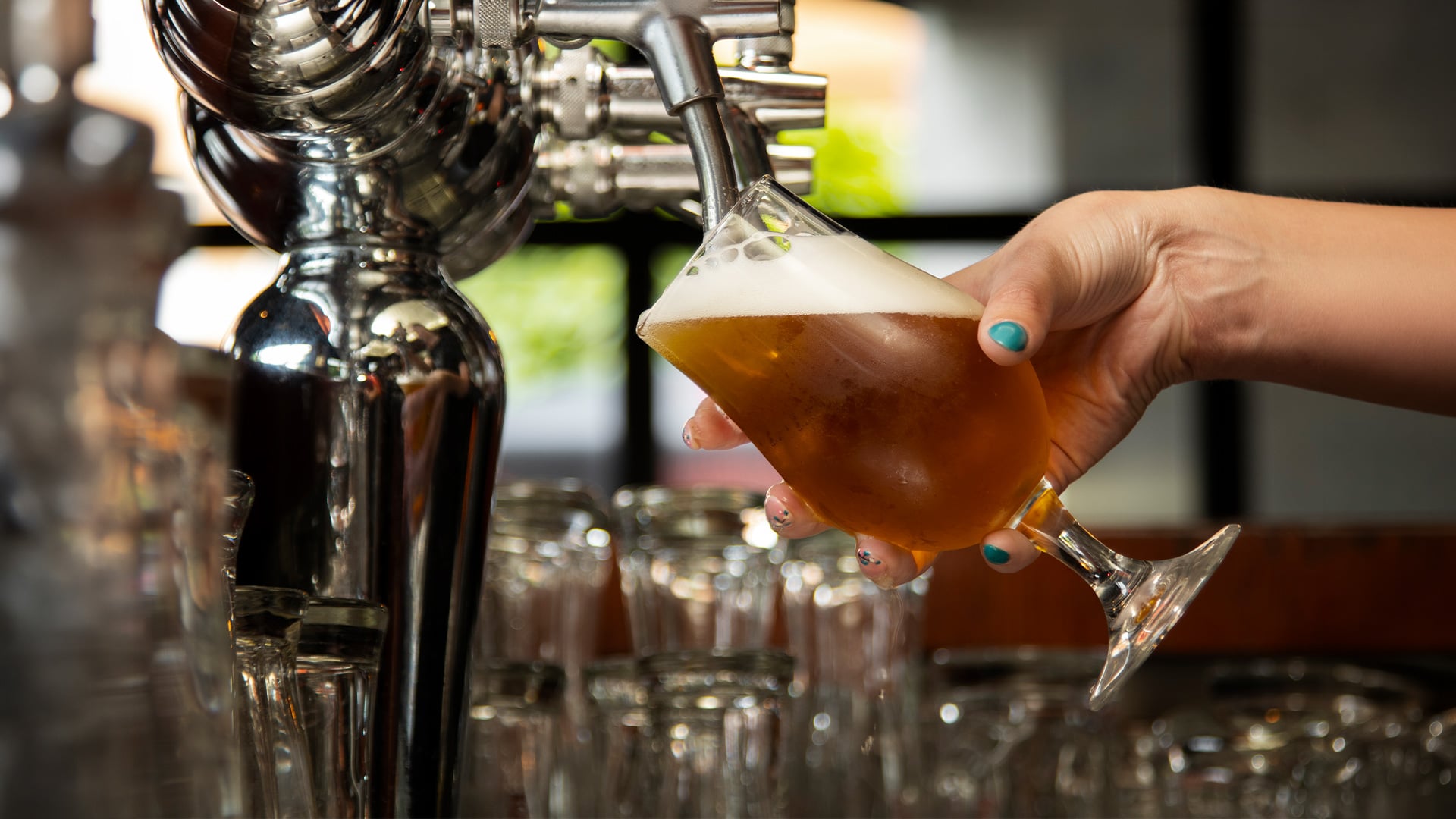 Bartender pours amber beer into tilted tulip glass
