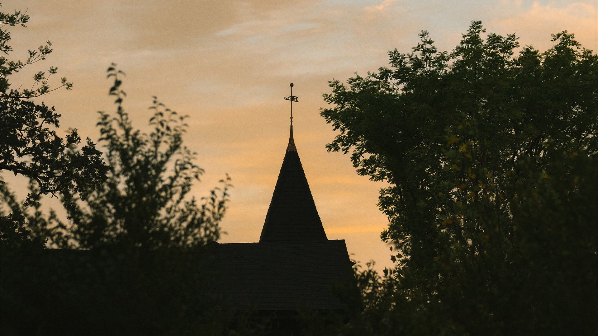 Church steeple silhouetted by trees at sunset