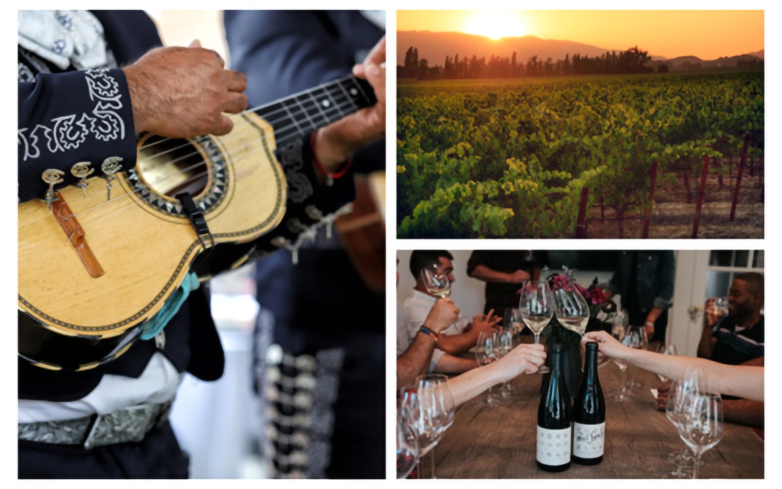 Guitar, vineyard at sunset, people toasting wine bottles.