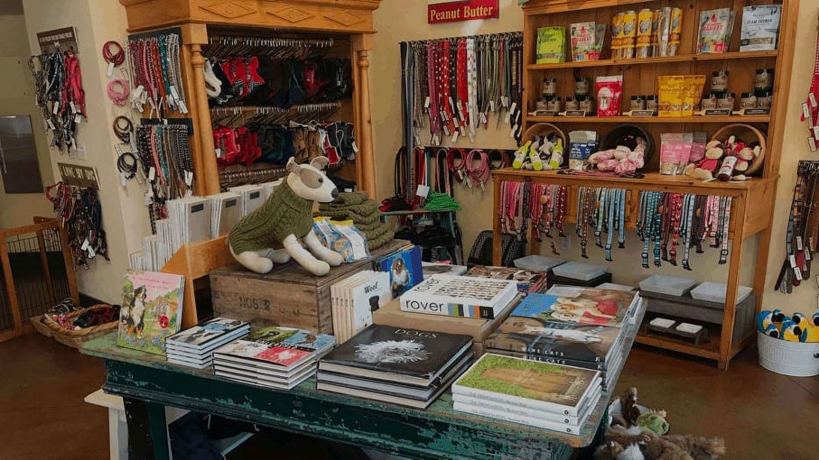 Pet store with collars, leashes, and books.