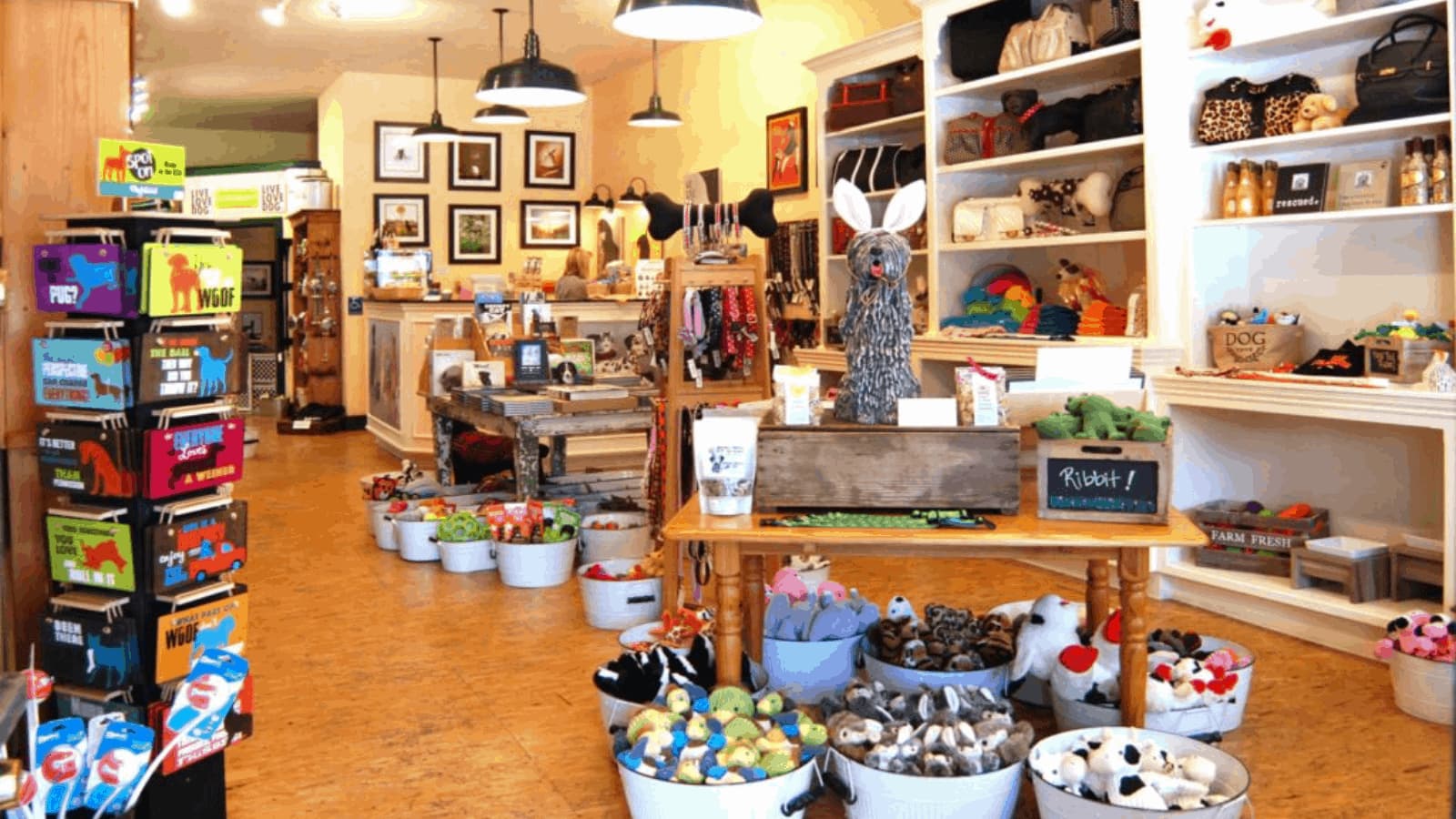 Cozy pet store with toys and supplies.