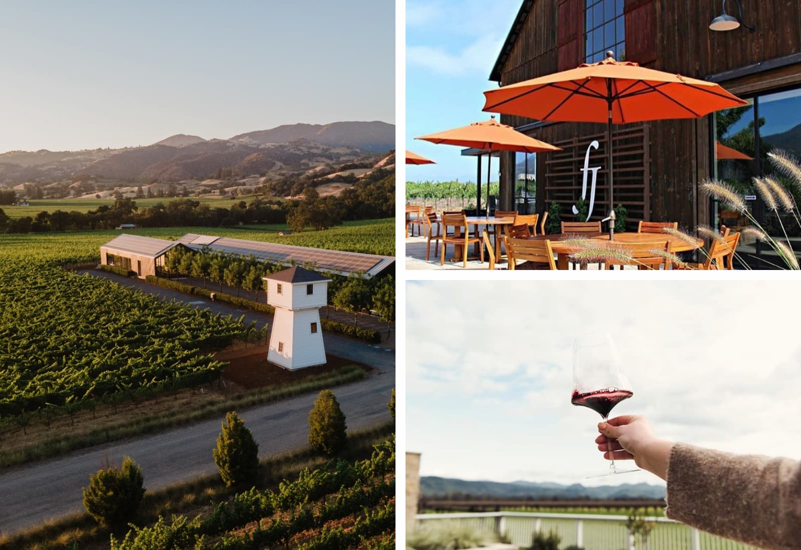 Scenic vineyard, outdoor patio, and wine tasting scene.