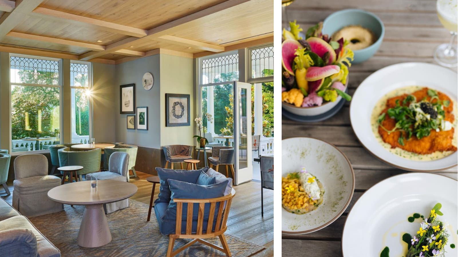 Cozy restaurant interior and gourmet dishes