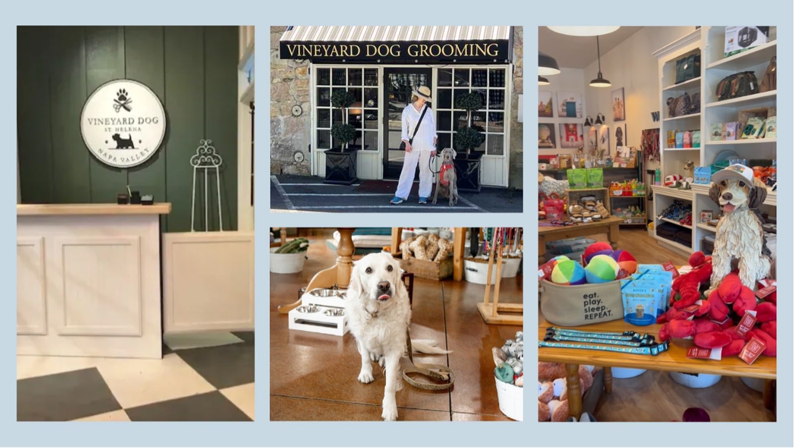Vineyard Dog Grooming shop exterior and interior display.