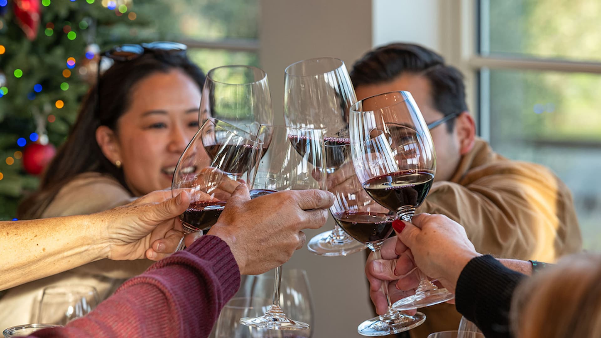 Friends toasting with wine glasses, holiday celebration.