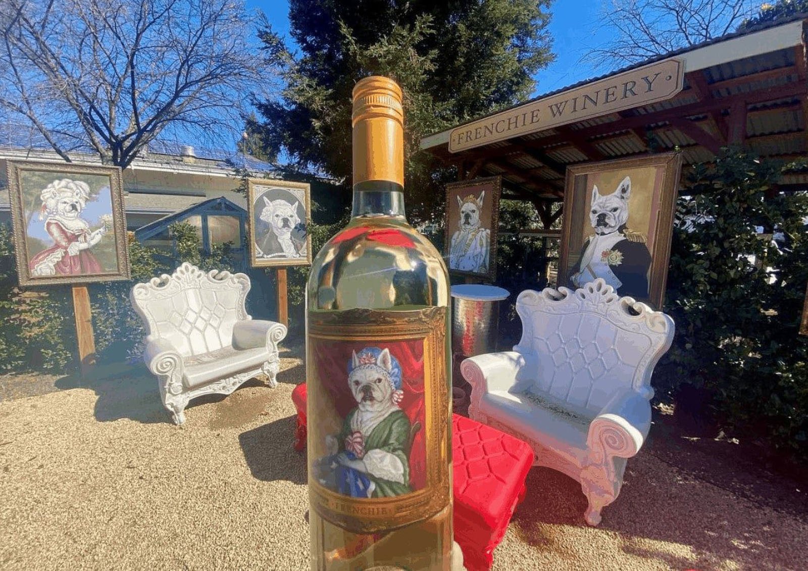 Frenchie Winery with dog portraits and wine bottle.