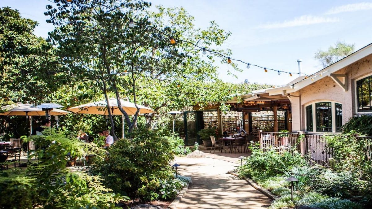 Outdoor café with greenery and string lights