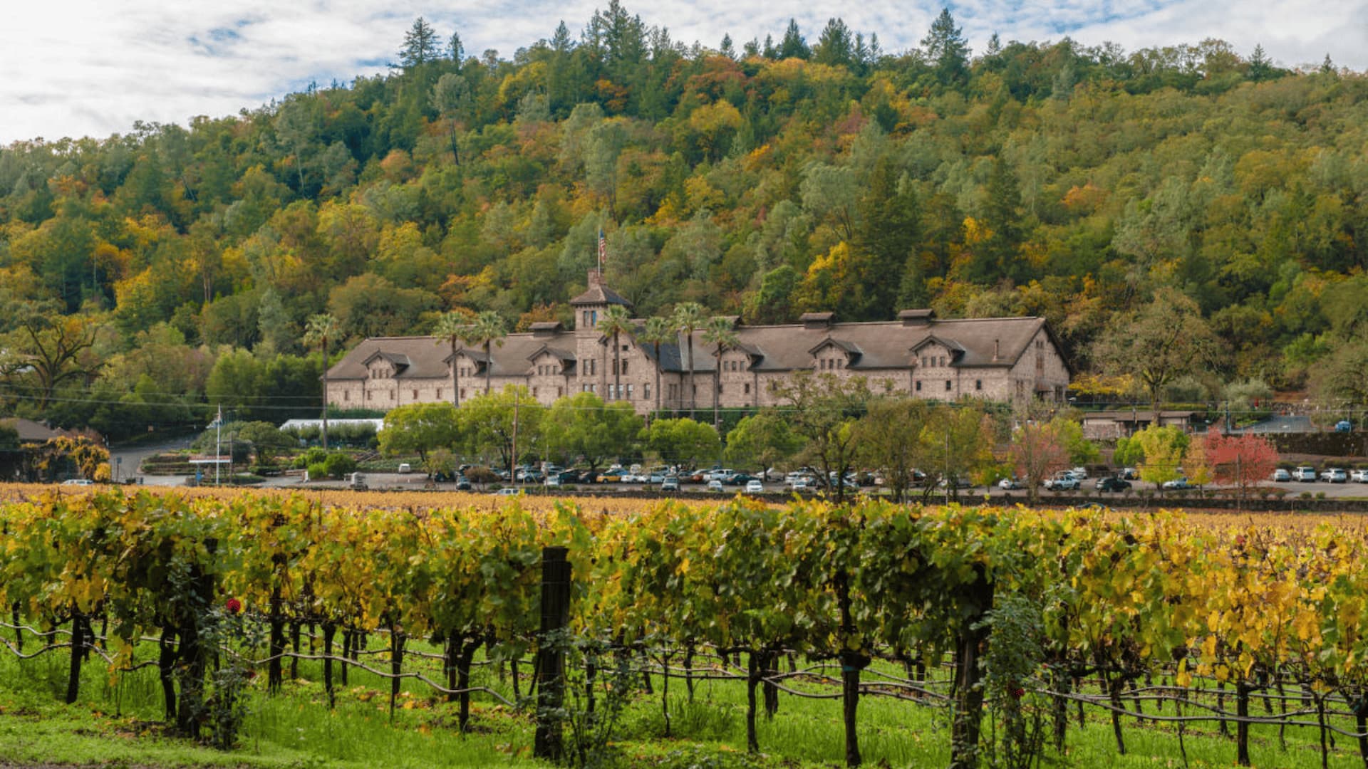 Historic winery surrounded by autumn vineyards and forest.