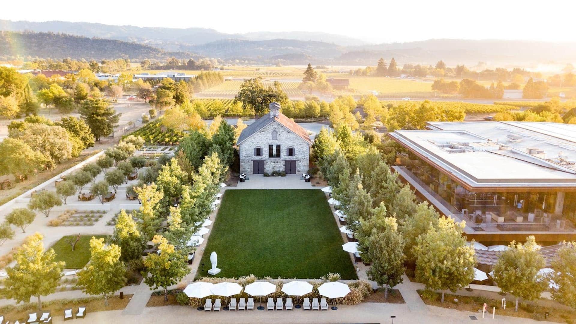 Aerial view of vineyard and buildings at sunset