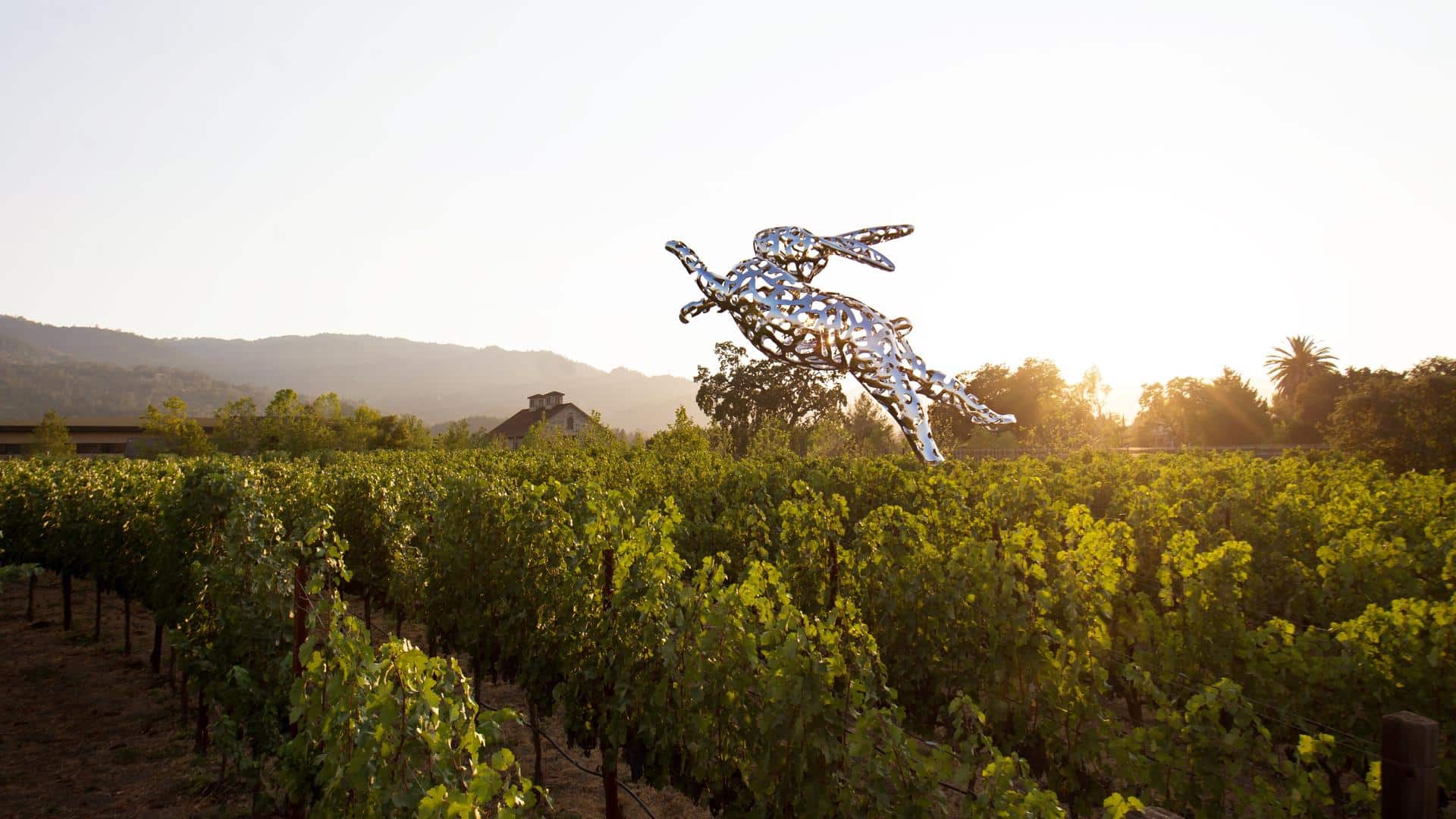 Silver rabbit sculpture over vineyard at sunset.