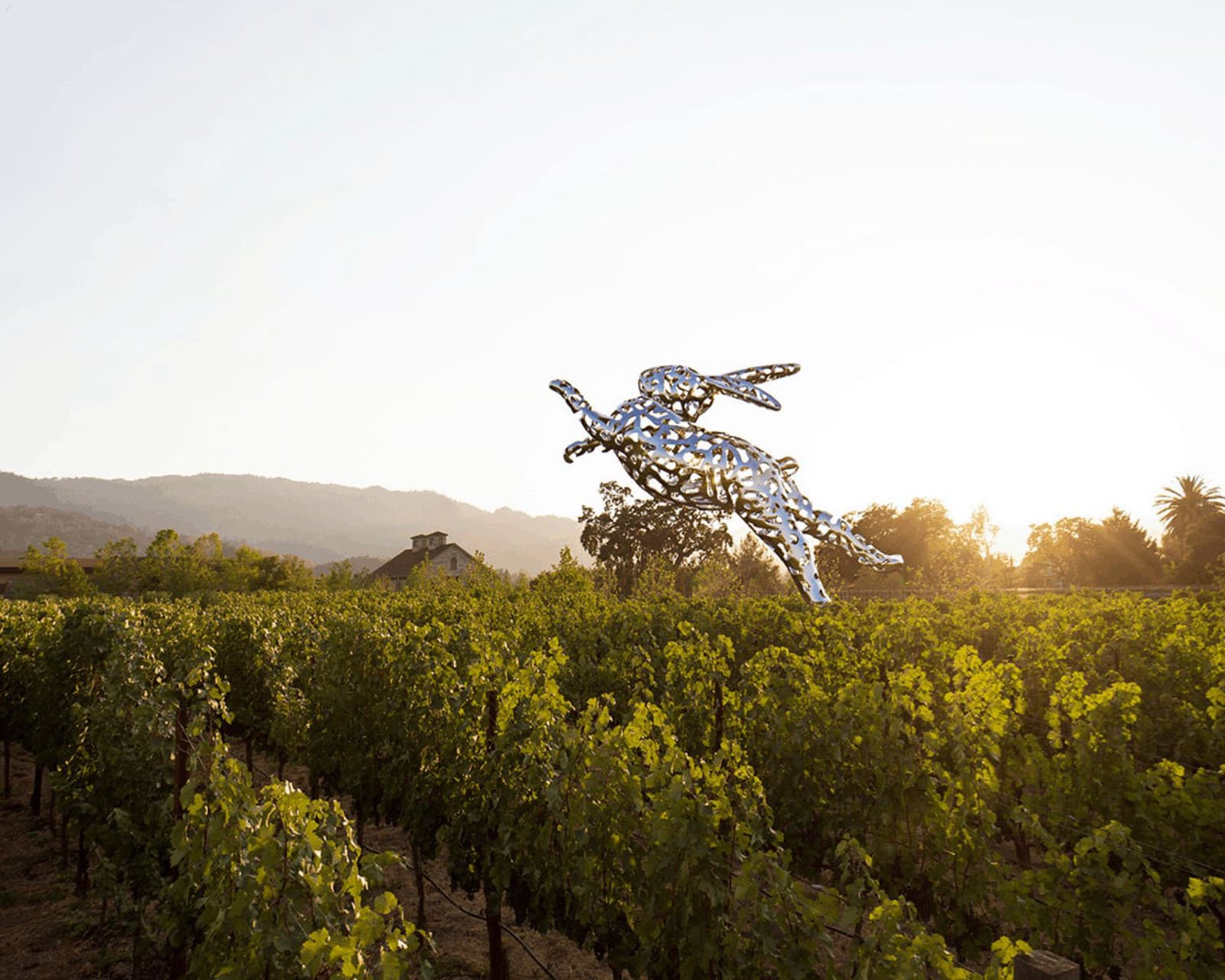 Metal rabbit sculpture over vineyard at sunset.