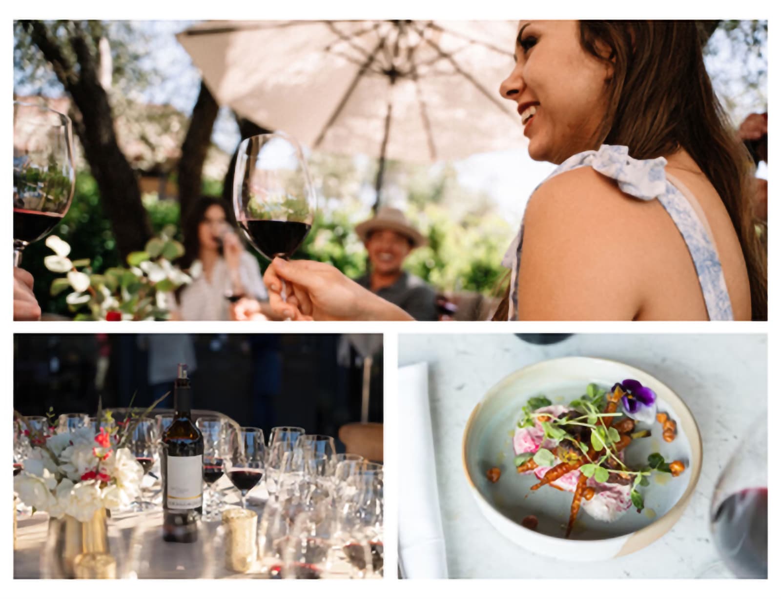 Wine tasting event with glasses and gourmet dish.