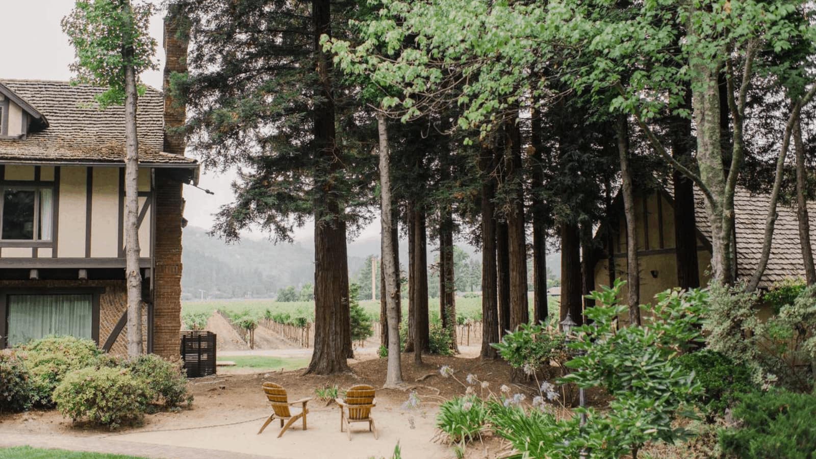 Forest house with wooden chairs