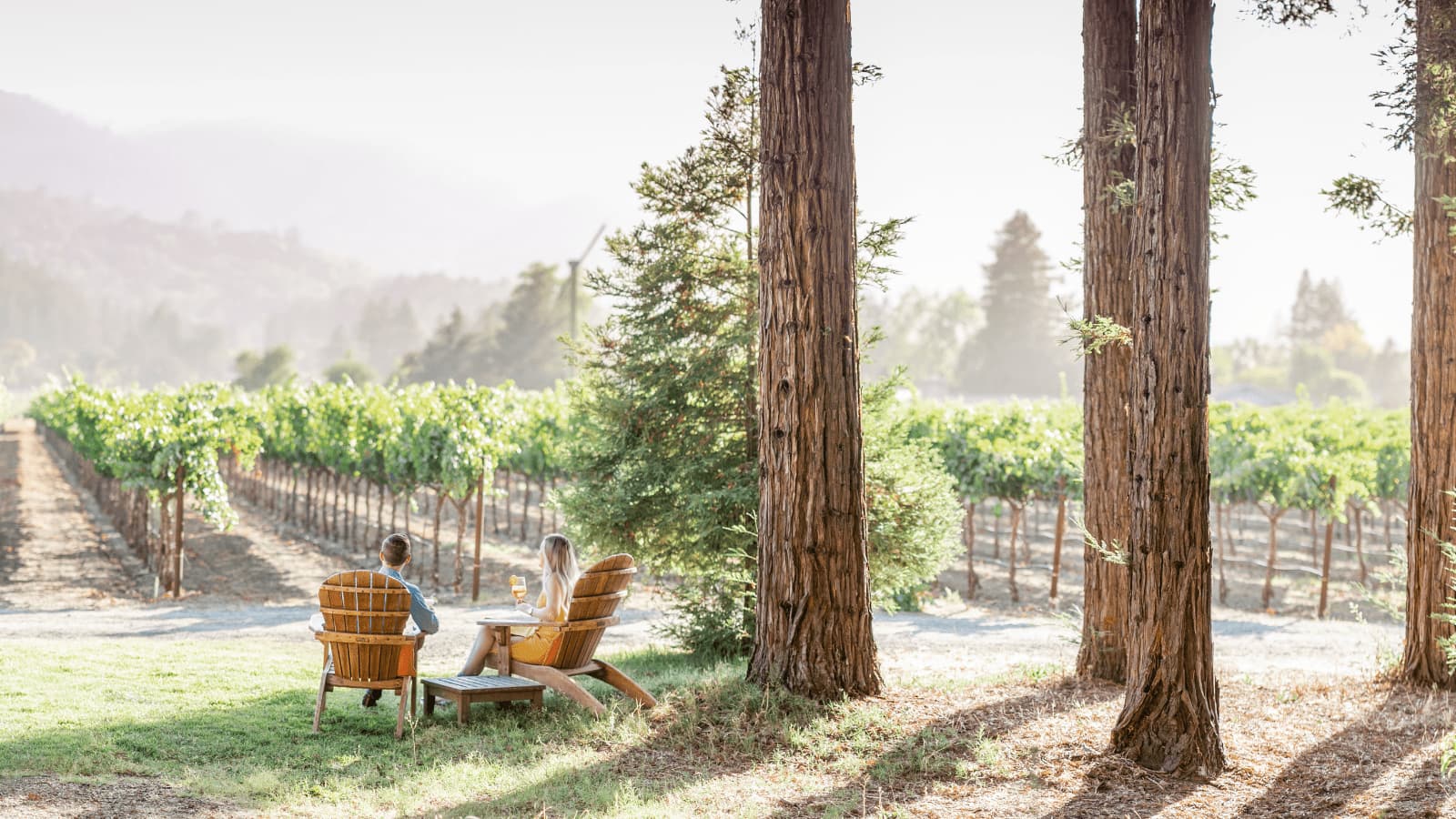 Couple relaxing beside vineyard with wine glasses.