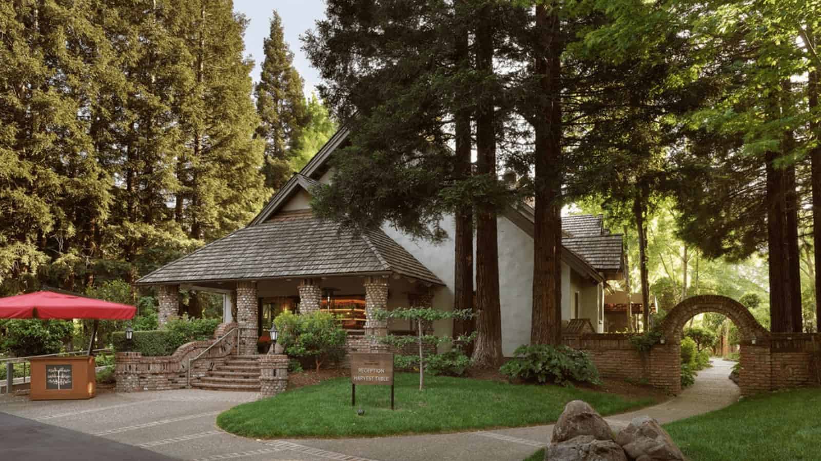 Cozy cottage surrounded by tall trees.