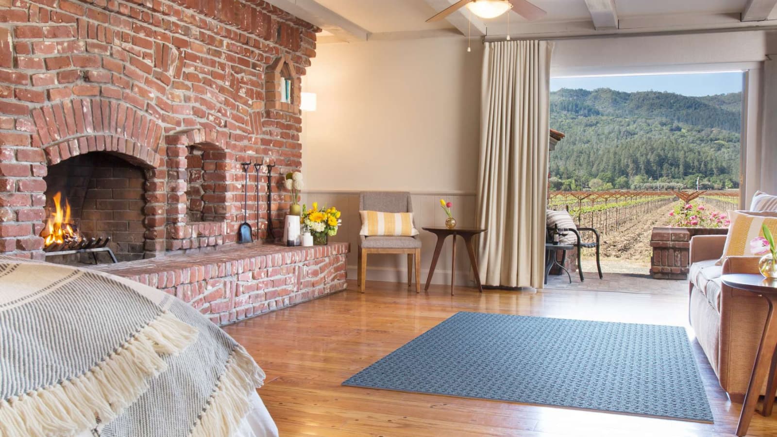 Cozy room with fireplace and vineyard view