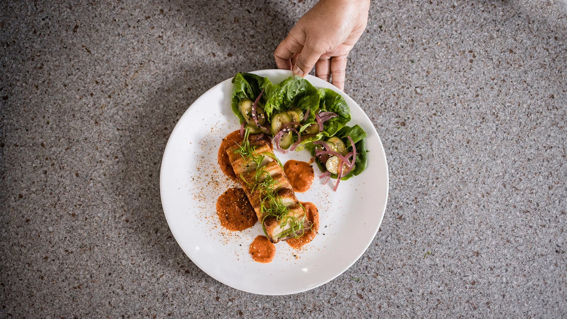 Hand serving grilled salmon with salad.