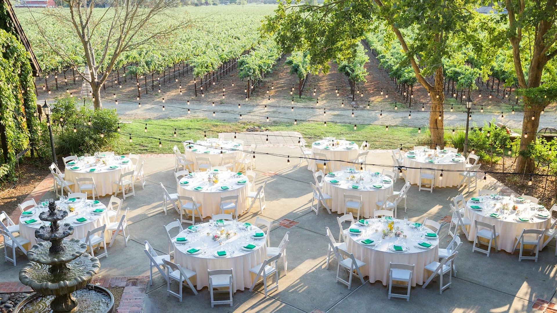 Outdoor wedding reception with vineyard background.
