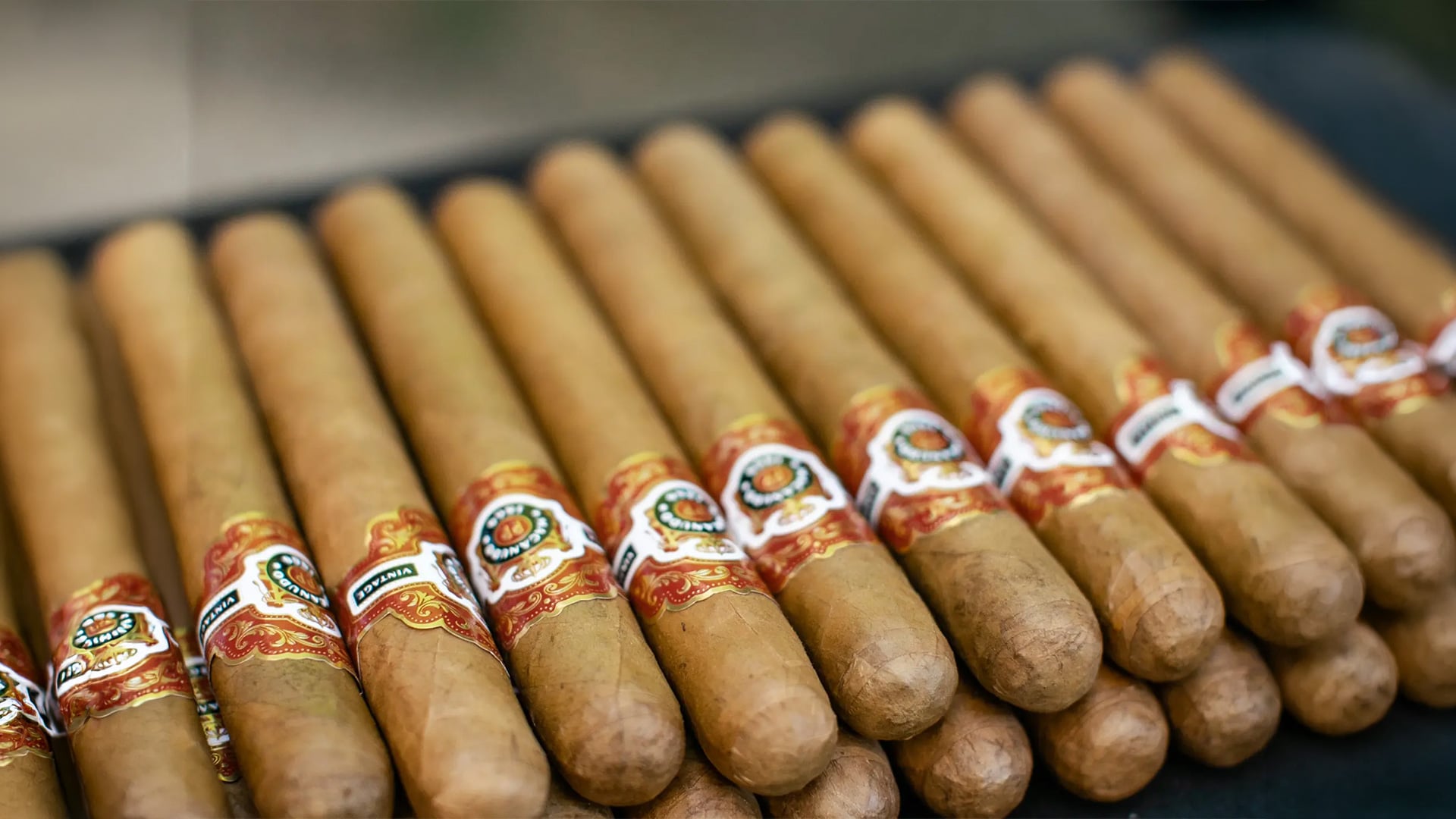 Rows of banded cigars in a display box