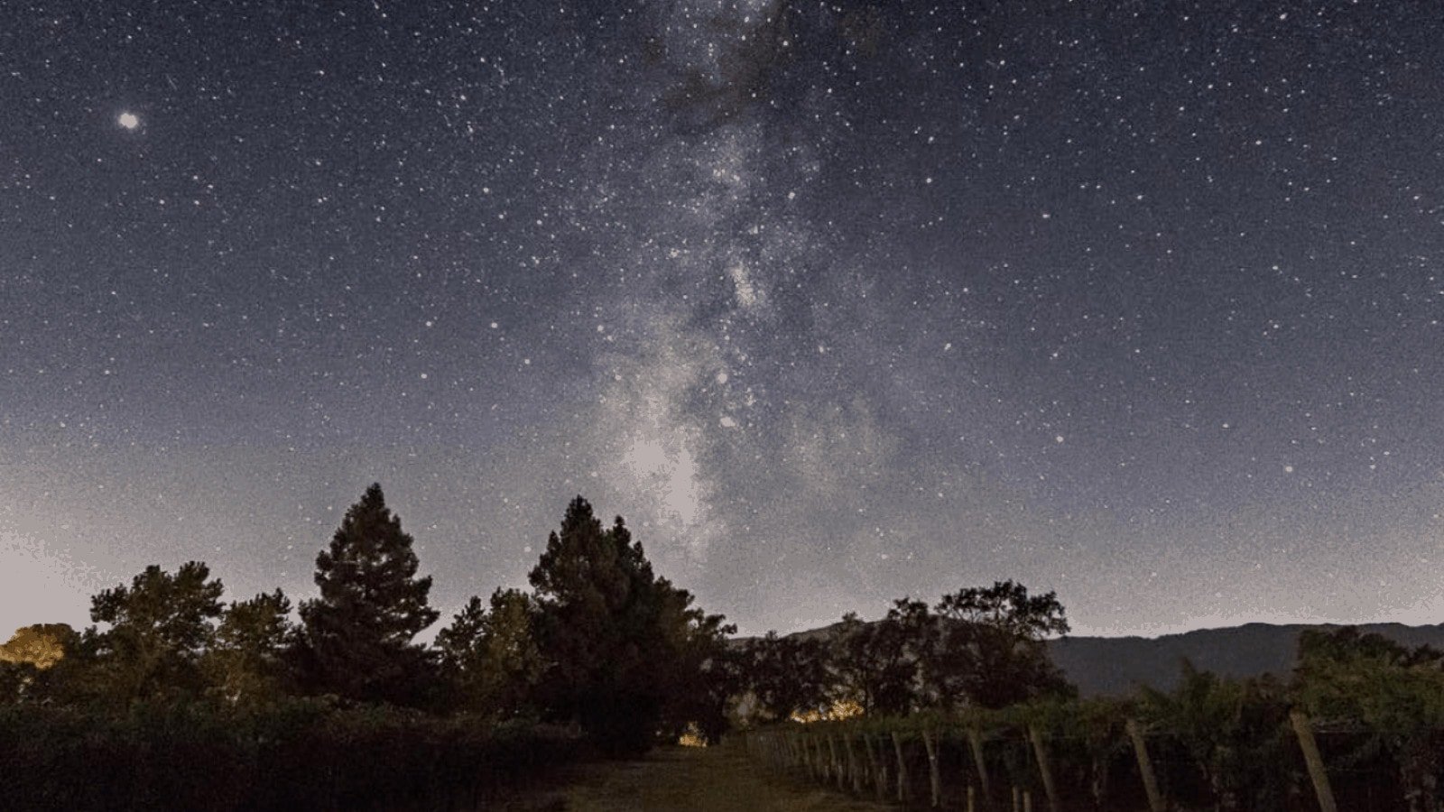 Starry sky over a vineyard at night.