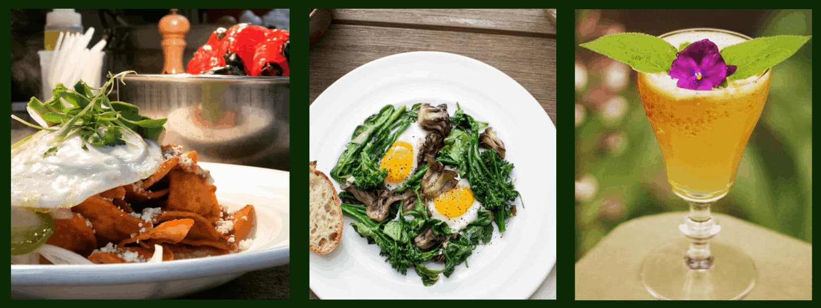 Three dishes: chilaquiles, eggs with greens, and drink