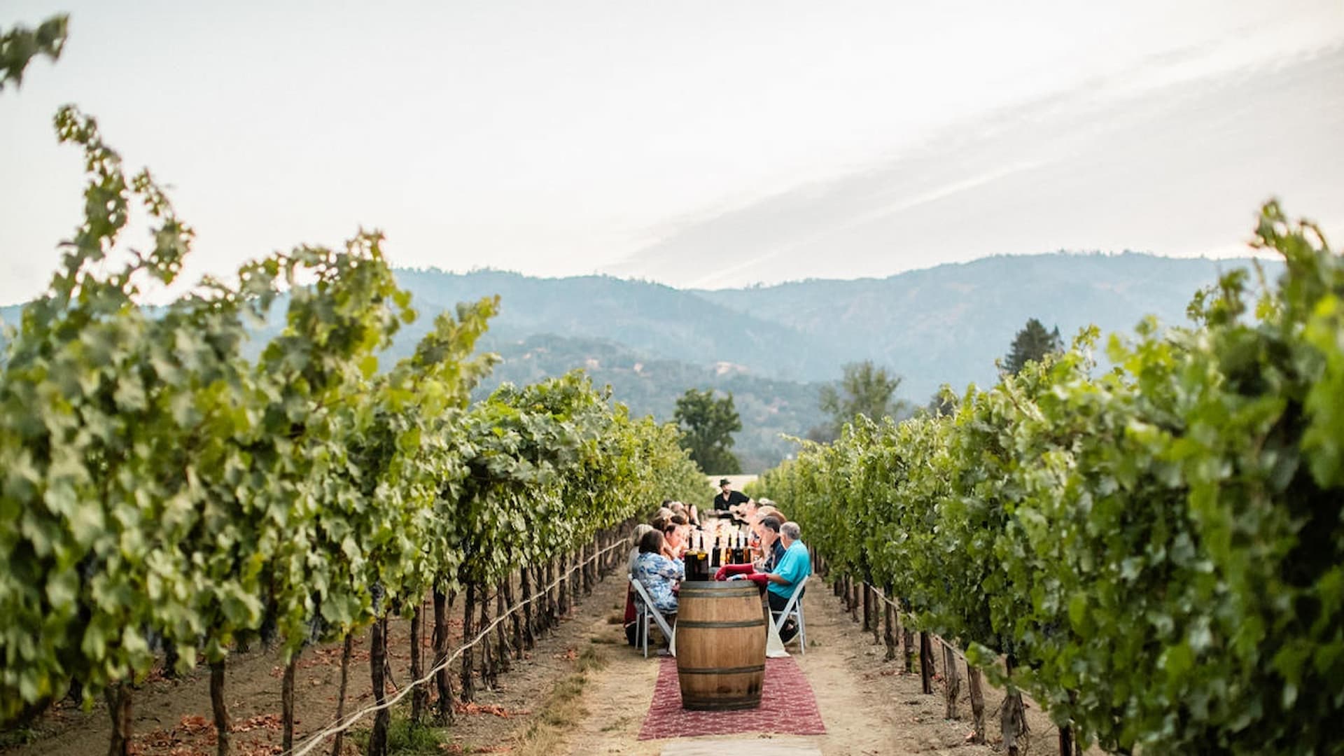 Outdoor dining in vineyard with mountain view