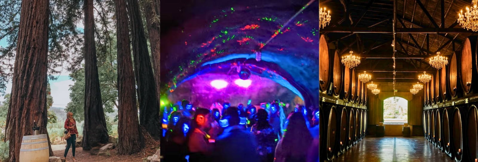 Redwood tree, neon party, wine barrels