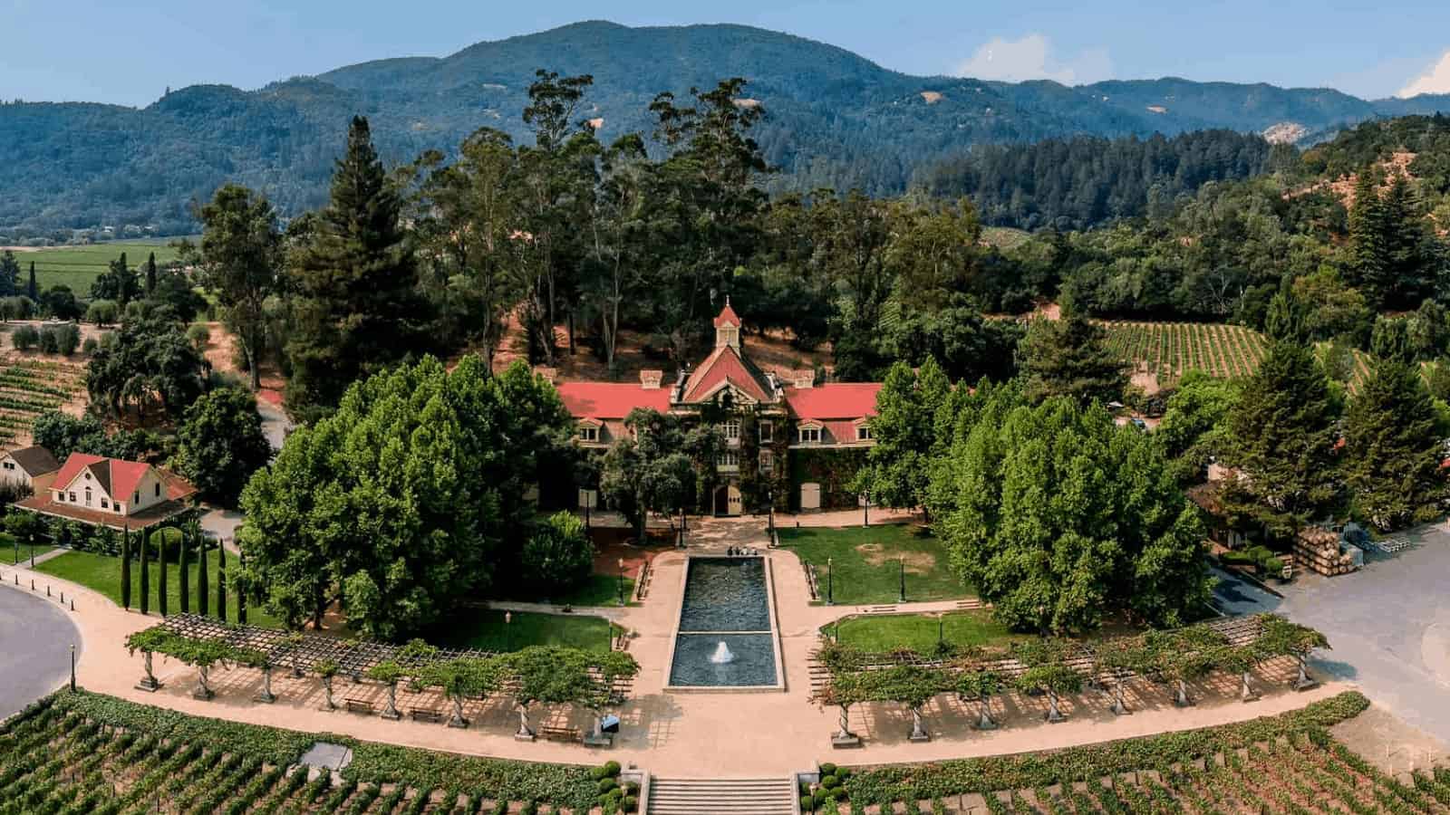 Aerial view of vineyard with central building