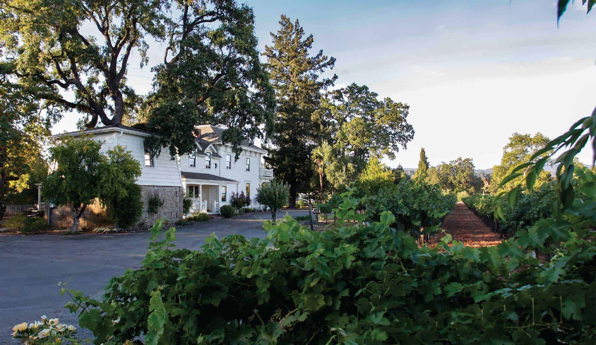 Historic vineyard estate with large trees and green vines