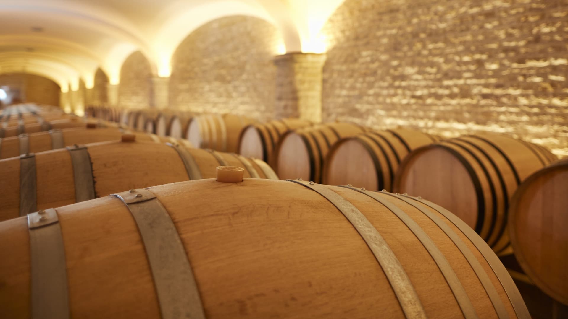Wooden wine barrels in stone cellar