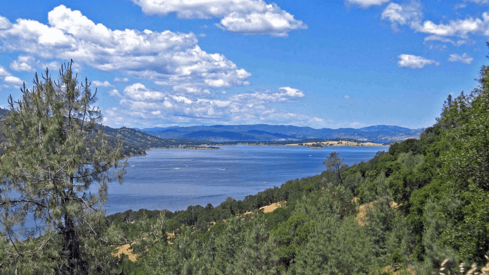 Scenic lake view with mountains and trees