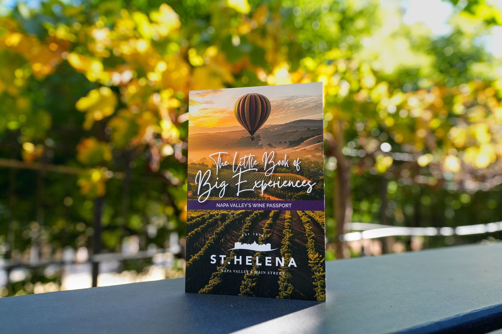 Napa Valley wine passport with hot air balloon.