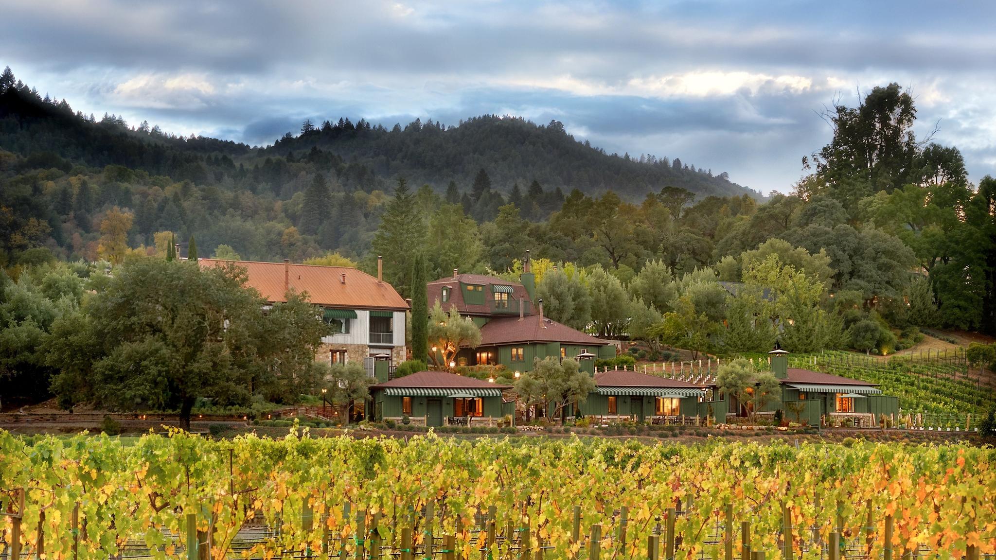 Vineyard estate surrounded by lush greenery and hills.