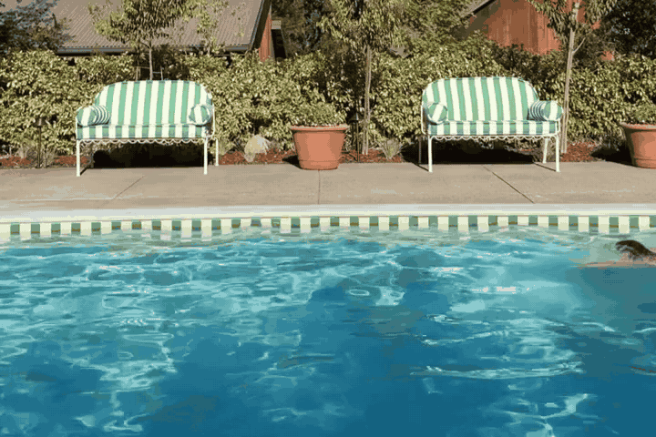 Swimming pool with striped lounge chairs and potted plant