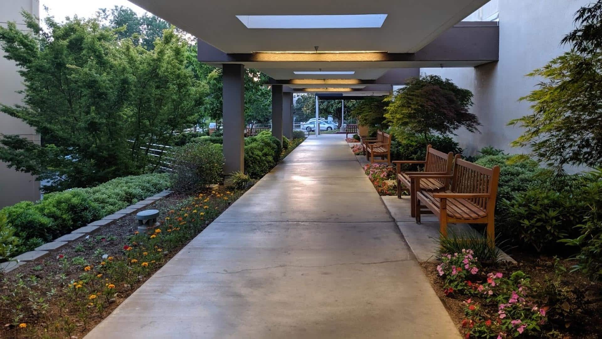 Garden path with benches surrounded by greenery