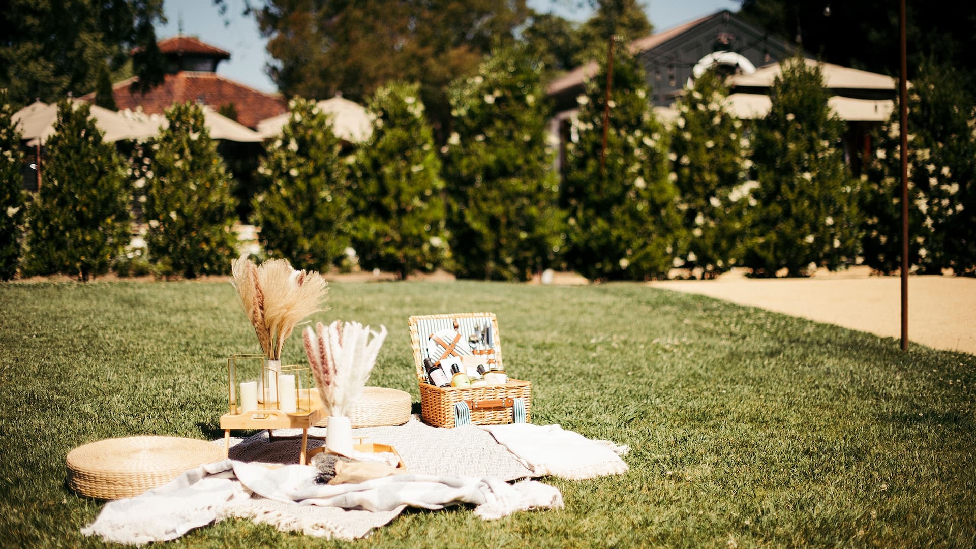 Picnic setup on a sunny grassy area.