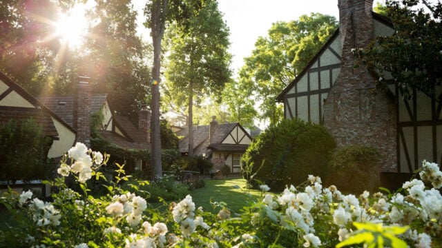 Cottage garden with sun through trees and flowers.