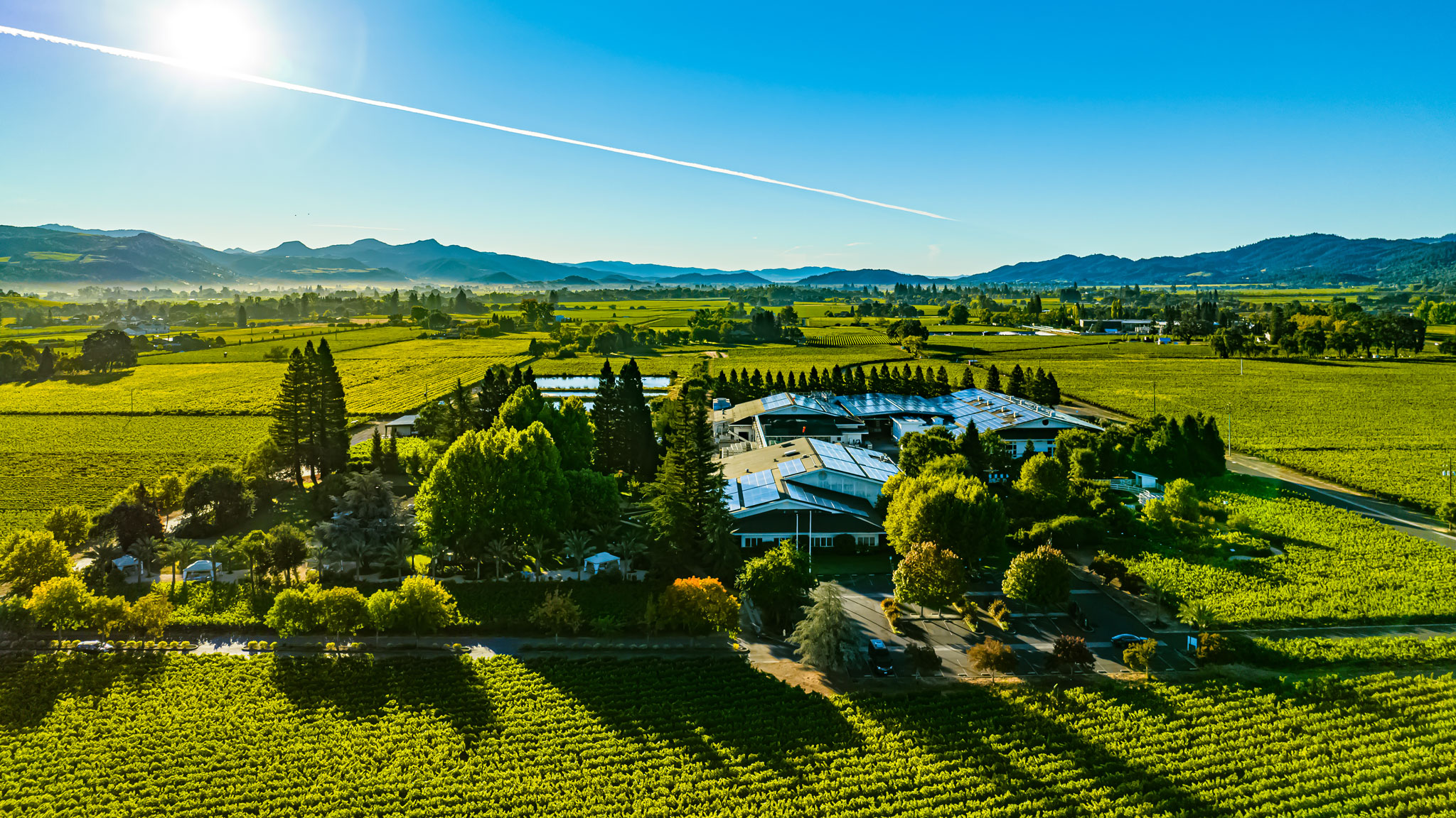 Aerial view of vineyard with mountains in background.