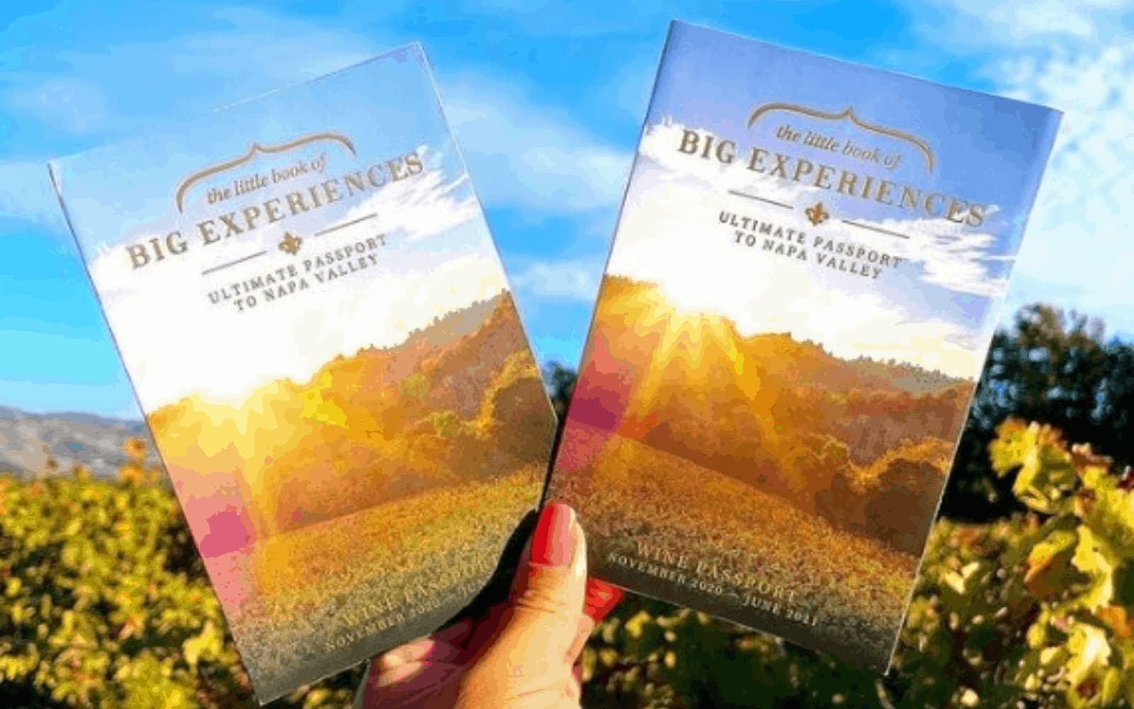 Napa Valley passport books held up in a vineyard.