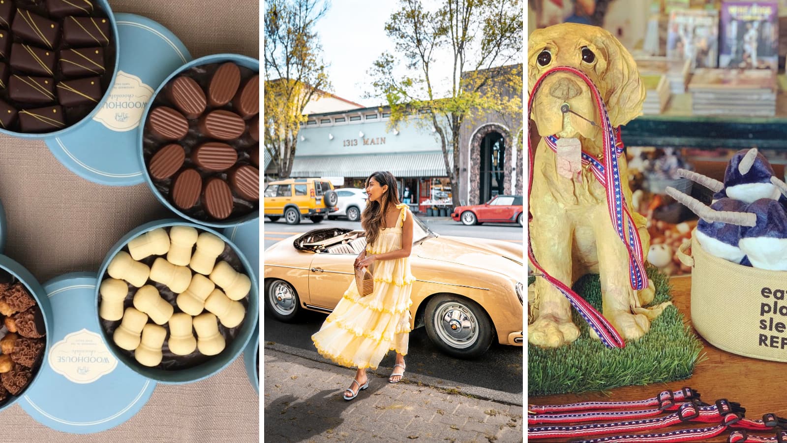 Chocolates, woman by car, dog items