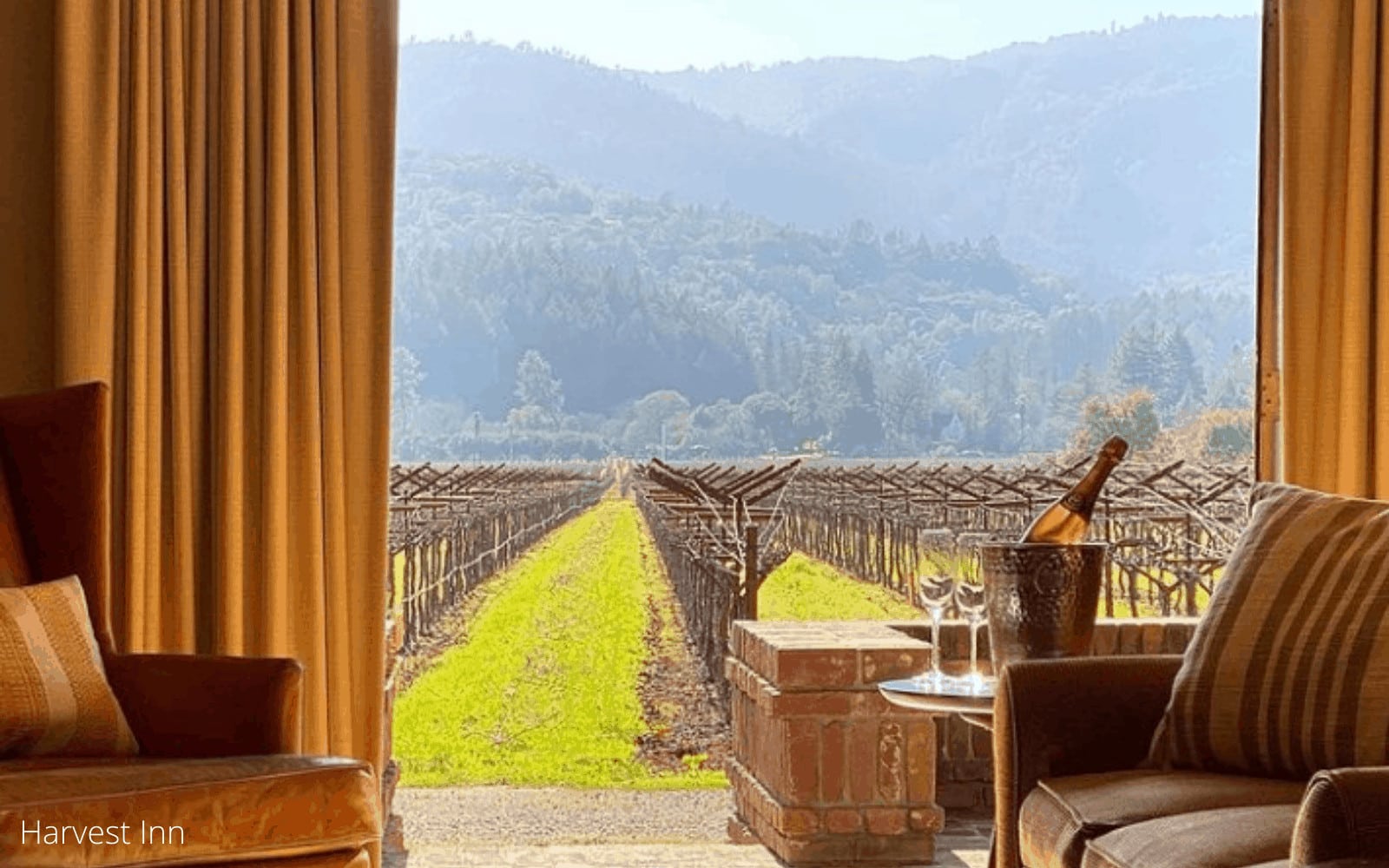 View of vineyard from cozy room.