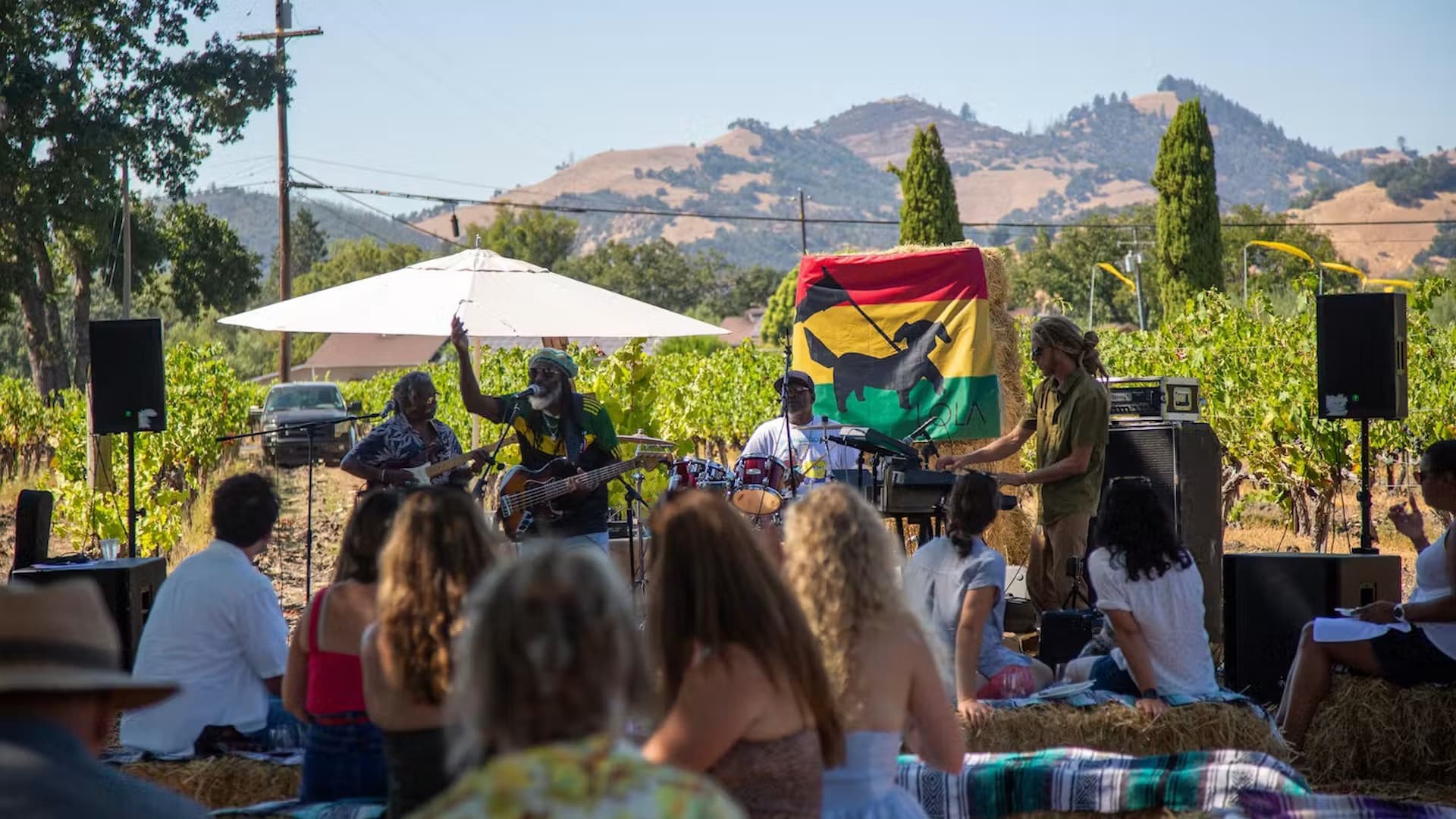 Band performing at outdoor vineyard concert