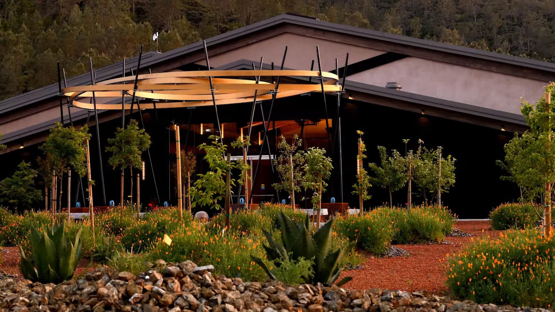 Modern winery with landscaped garden