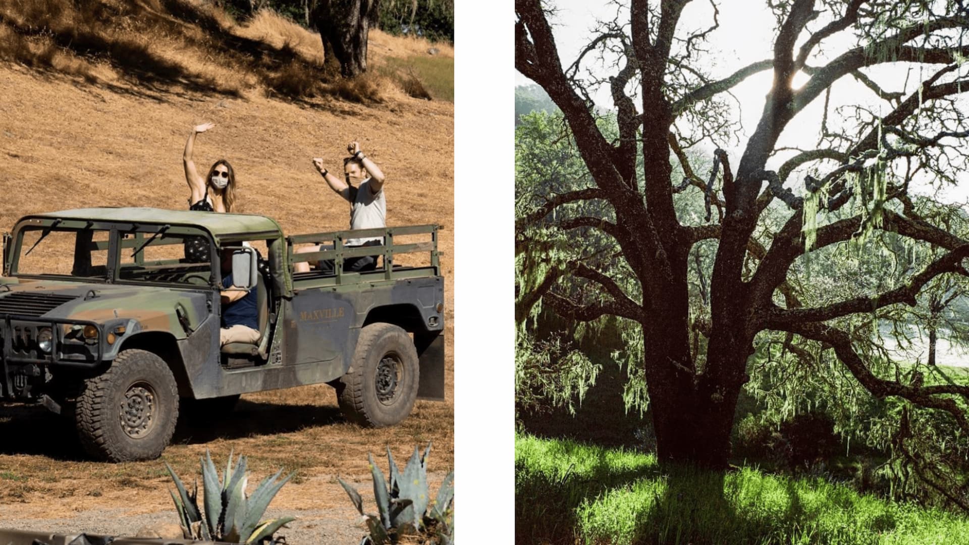 People in a jeep and scenic tree view.