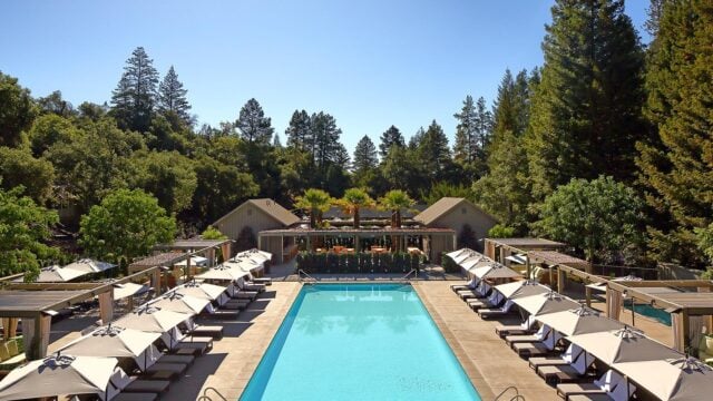 Luxurious outdoor pool surrounded by lush trees.